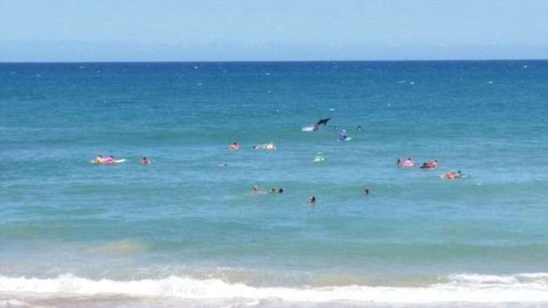 Tubarão pulou por duas vezes para fora d'água bem próximo de banhistas