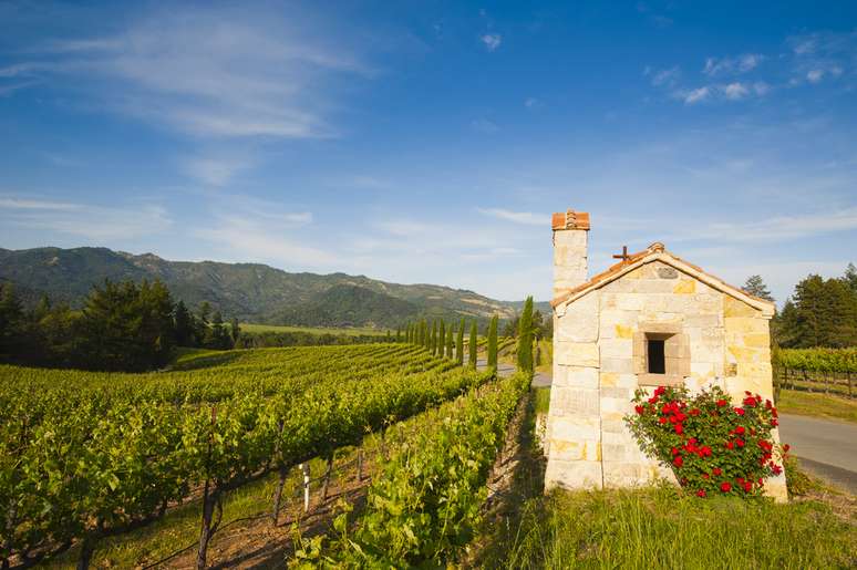 Napa Valley, região vinicultora da Califórnia, tem cerca de 150 vinícolas