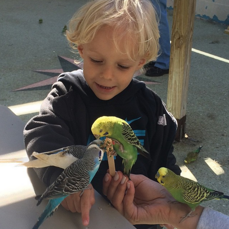 Carol Dantas e Davi Lucca curtem f&eacute;rias na Disney