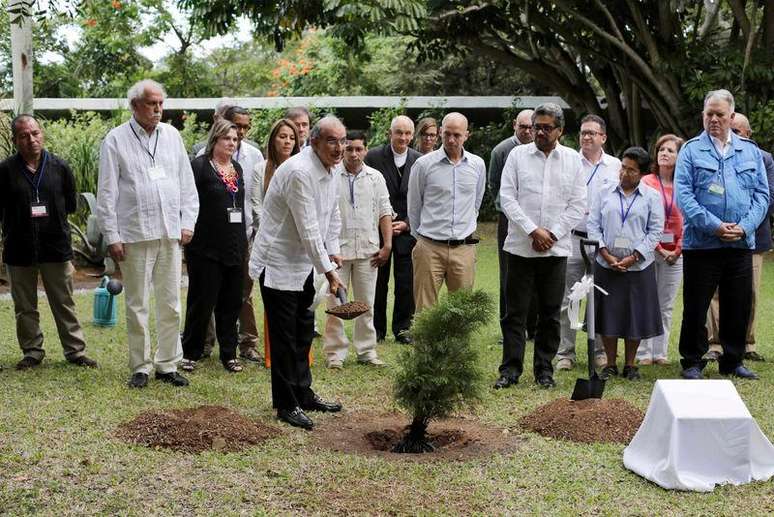 Principal negociador do governo da Colômbia, Humberto de la Calle, planta árvore como parte das negociações de paz do país com as Farc, em Havana. 16/12/2014