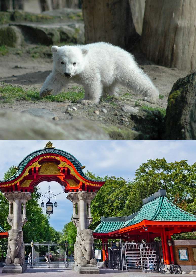 Jardim Zoológico de Berlim