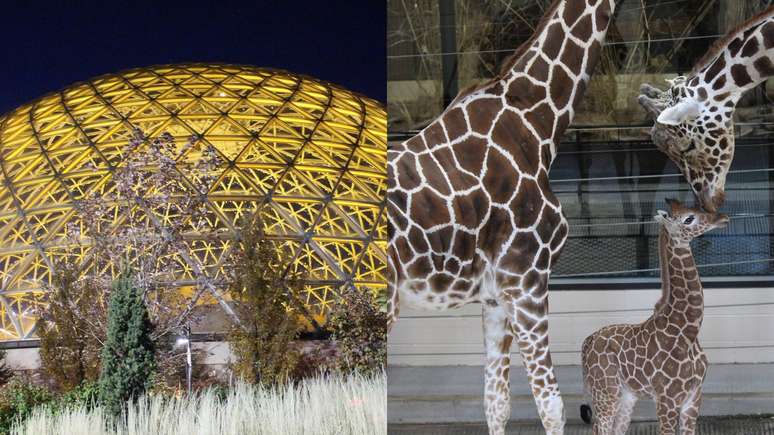 Henry Doorly Zoo