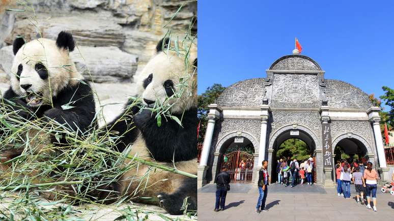 Zoológico de Pequim