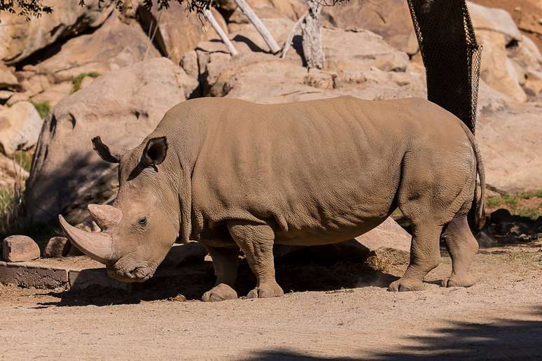 Zoológico de San Diego