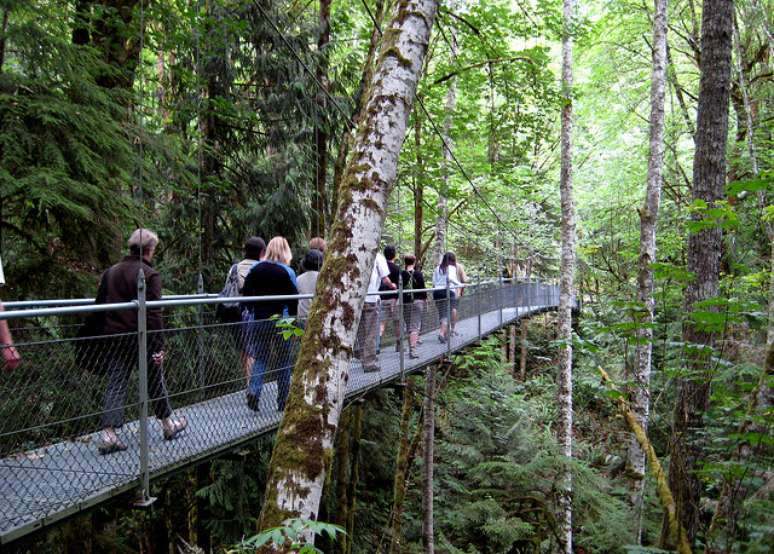 <p>Na IslandWood, os jovens aprendem em contato com a natureza</p>