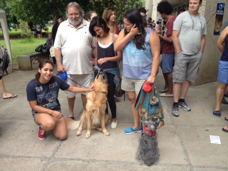 A estudante Desiree Barros, 18 anos, brinca com Dimitri, da raça Golden Retriever; com a ajuda dos pais, ela também levou a Schnauzer Chica para a USP, onde presta o vestibular da Fuvest neste domingo