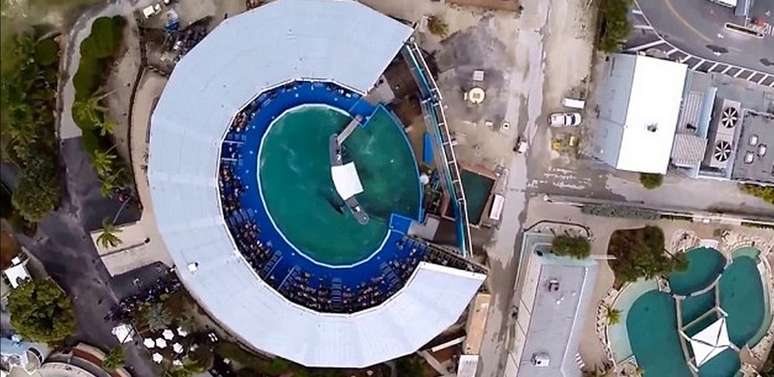 <p>O tanque onde vive a orca Lolita tem 10 metros de diâmetro</p>