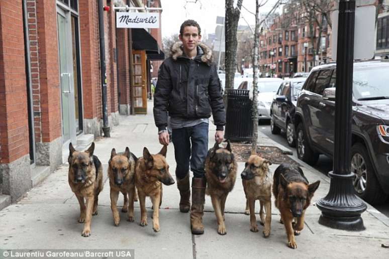 <p>Augusto de Oliveira caminha pelas ruas das cidades de Massachusetts com seus cães</p>