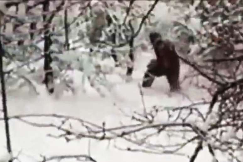 <p>Vídeo mostra uma criatura grande e peluda caminhando por uma floresta de uma área remota da Rússia</p>