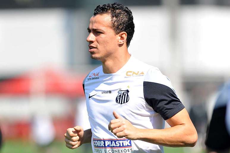 Leandro Damião deixou o Santos ao final de 2014