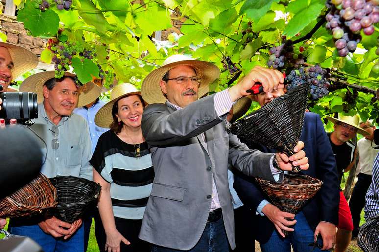 Governador José Ivo Sartori participa da abertura da safra da uva, na serra gaúcha, sua base política