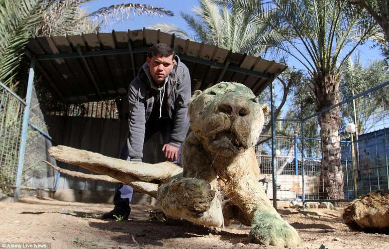 Múmias de animais revelam os estragos da guerra em Gaza