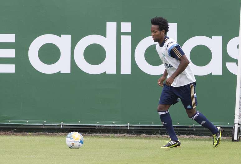 <p>Zé Roberto será poupado na partida deste sábado, no Allianz Parque</p>