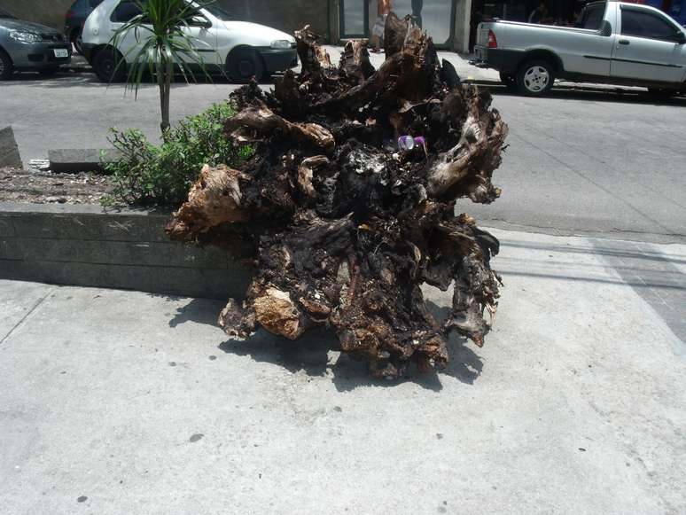 Foto tirada na &uacute;ltima segunda-feira mostra tronco incendiado