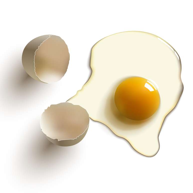Exagerar na clara de ovo pode acarretar em sobrecarga renal