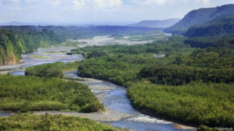 Projeto de lei aprovado na Câmara 'destrava' mercado da biodiversidade no Brasil, mas cria polêmica