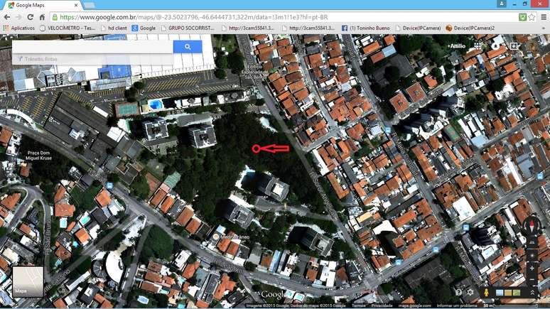 Servi&ccedil;o do Google mostra extens&atilde;o do terreno arborizado