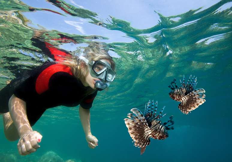 O snorkeling é esporte perfeito para praticar em Fiji pela diversidade de fauna e flora marítima  