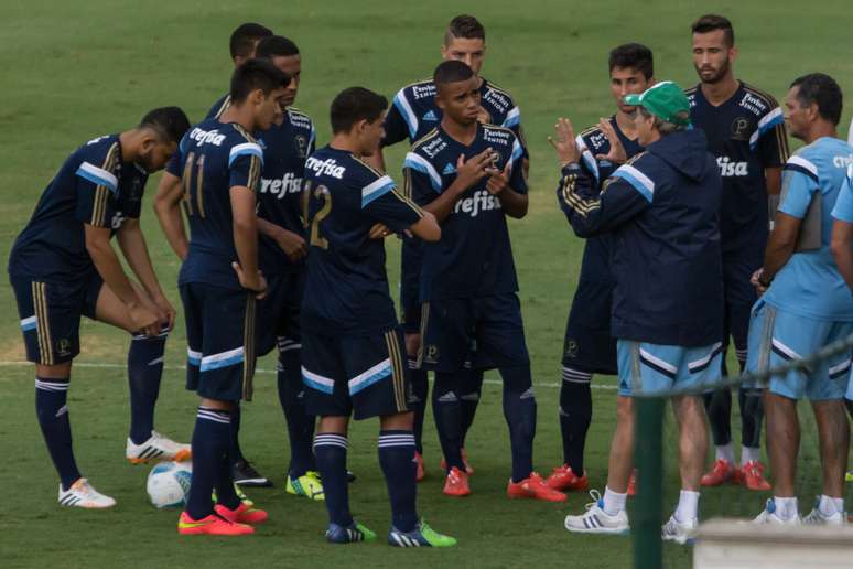 <p>Oswaldo orienta equipe do Palmeiras em jogo-treino</p>