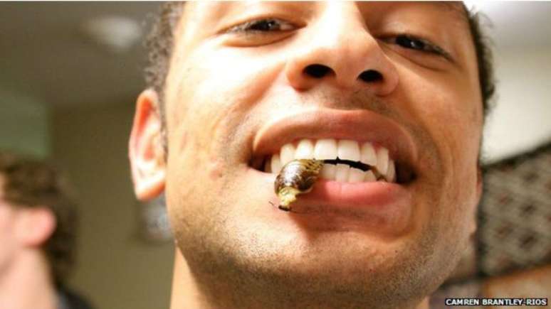 Por 30 dias, Camrey Brantley-R&iacute;os comeu insetos no caf&eacute; da manh&atilde;, almo&ccedil;o e jantar