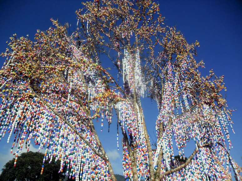 <p>Árvore com 80 mil ovos pode ser vista no Centro Cultural de Pomerode</p>