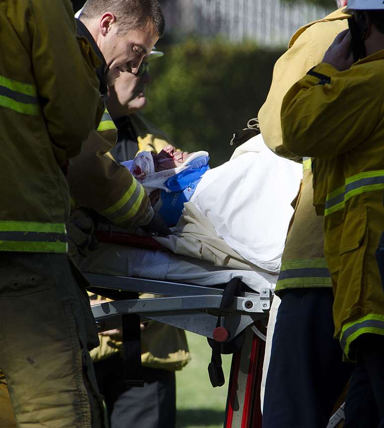 Harrison Ford sofreu acidente de avião na última quinta-feira (5)