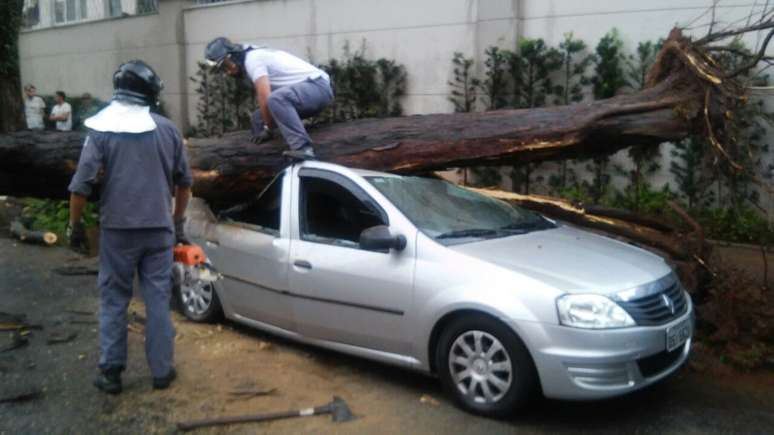 Uma árvore caiu em cima de um carro na rua Leais Paulistanos, no Ipiranga