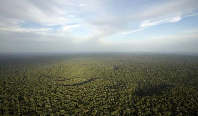 Vista geral da floresta amazônica em São Sebastião do Uatuma, no Amazonas, em janeiro de 2015