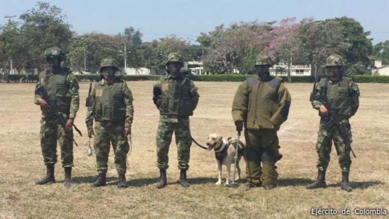 A equipe do sargento Beltrán pode levar um dia inteiro para desativar uma mina