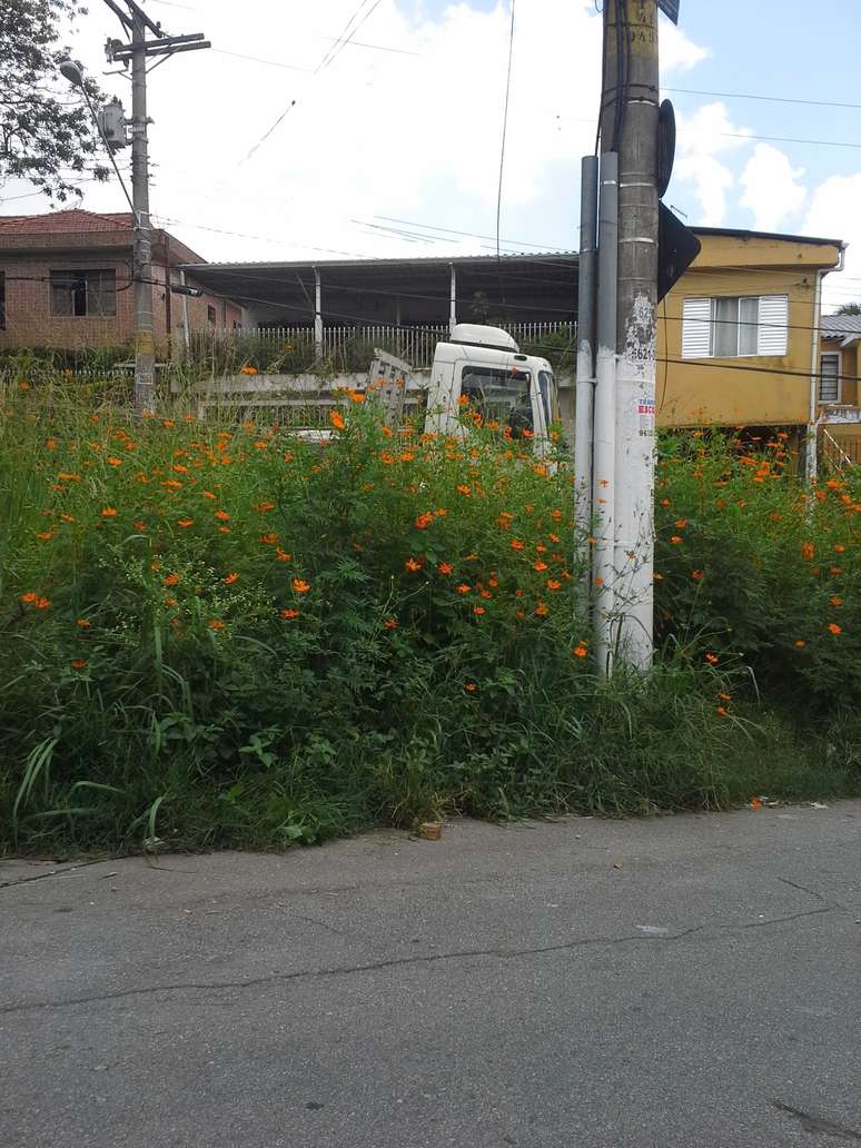 Leitor afirmou que a grama alta impede os frequentadores de utilizarem melhor a praça