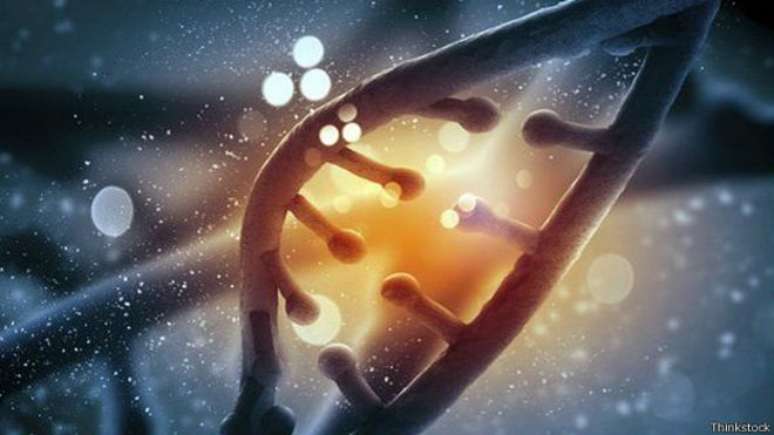 Cientistas mapearam DNA de dez mil pessoas e compararam dados com árvores genealógicas