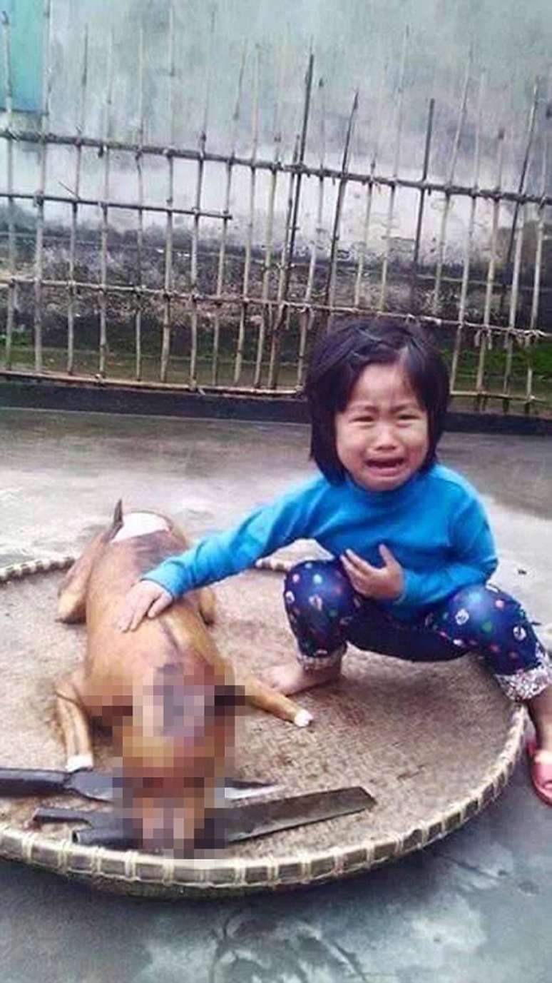 Menina de 5 anos chora ao ver seu cão assado em mercado