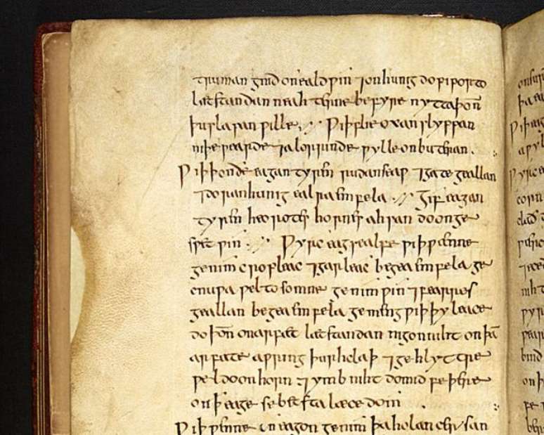 Cientistas tentaram reproduzir com máxima exatidão a receita do manuscrito do século 10/ Foto: Biblioteca Britânica/ © The British Library Board 