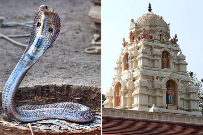 Cerimônia reuniu entre 12 mil e 15 mil pessoas em templo hindu