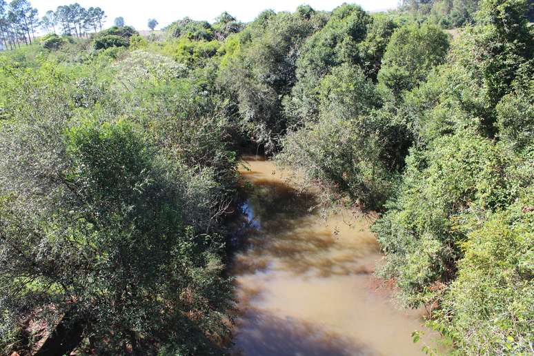 Trecho final do rio Lajeado Pratos recuperado pelo projeto Água Limpa