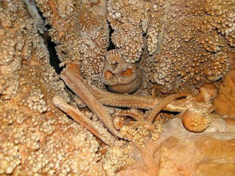 Crânio foi encontrado em uma caverna