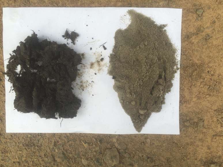 O solo antes (à esquerda) e depois (à direita) de o óleo ser removido. Tecnologia foi desenvolvida após mais de dez anos de pesquisa