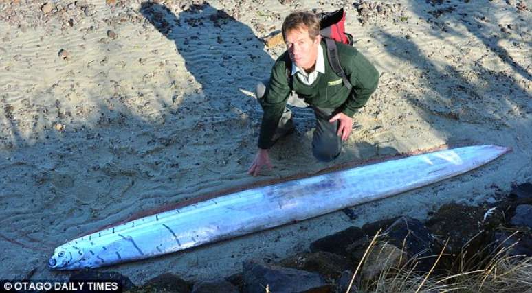 Cientistas n&atilde;o entendem como peixe foi parar no local