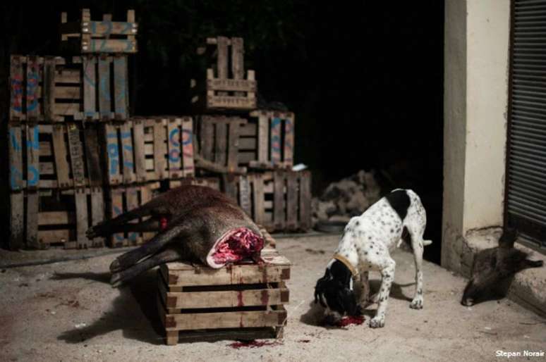   Stepan fez algumas fotos com a c&acirc;mera do av&ocirc; e outras com uma moderna c&acirc;mera digital