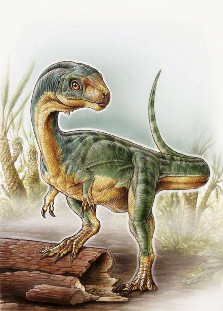 Dinossauro "quebra-cabeça" descoberto no Chile surpreende por mistura incomum de traços