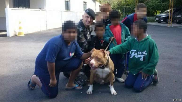 A PM do Paraná confirmou à BBC Brasil que tem dois cachorros da raça; o cão Steven, inclusive, participa de atividades com crianças