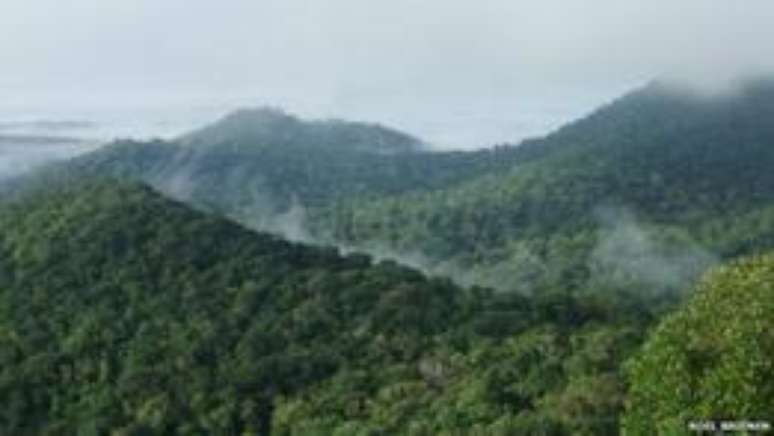 Amazônia abriga 17% do carbono estocado pela vegetação do planeta (Roel Brienen)