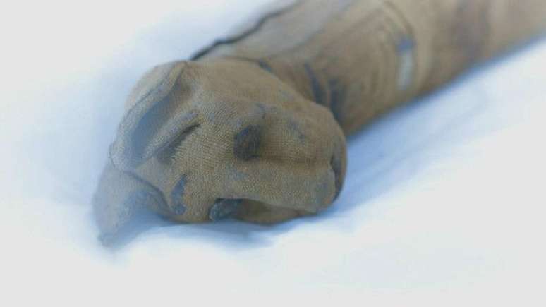 Um ter&ccedil;o das m&uacute;mias analisadas estavam vazias