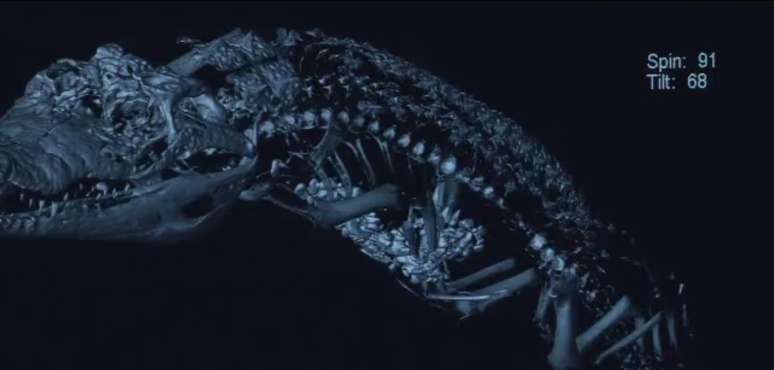 Projeto usou tomografias e exames de raio-x para examinar o interior das m&uacute;mias sem precisar desfaz&ecirc;-las