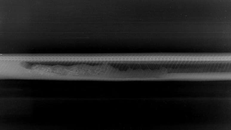 Após a digestão total, uma píton pode passar semanas sem precisar se alimentar novamente