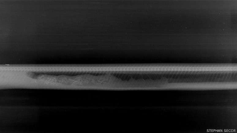 No quinto dia, o raio-x mostra que restam apenas alguns fragmentos do jacaré