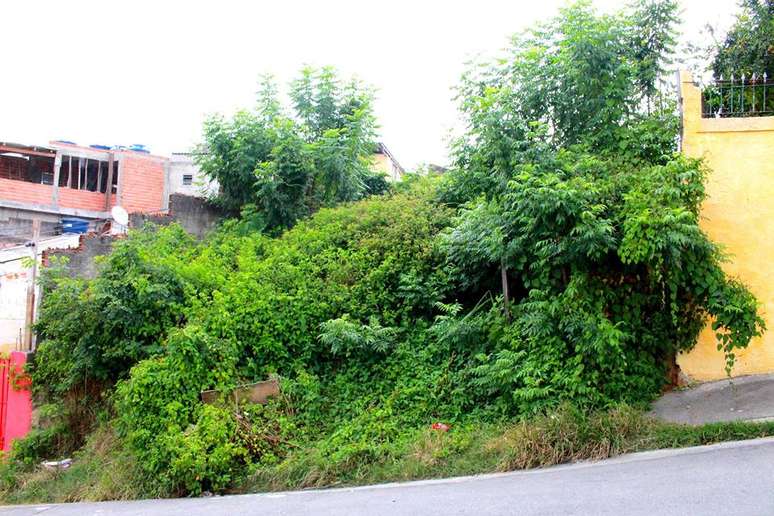 Terreno abandonado preocupa moradores da Vila Brasilândia