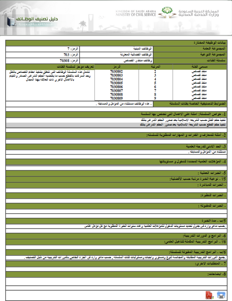Reprodução do formulário de inscrição para a vaga de carrasco na Arábia Saudita