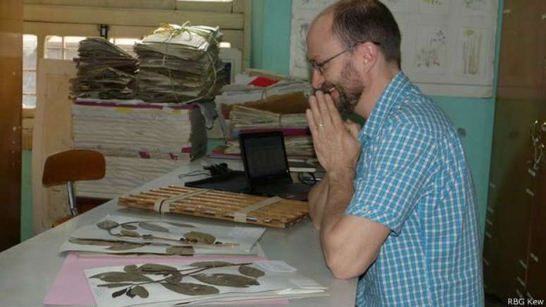 Aaron Davis, do instituto de pesquisa Kew: ele busca impedir a extinção do café arábica