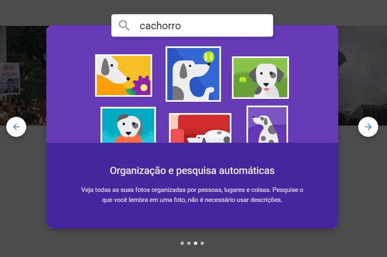 Usuário pode organizar as imagens para fazer uma pesquisa automática